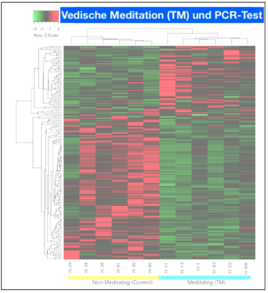 Corona, TM und PCR-Test